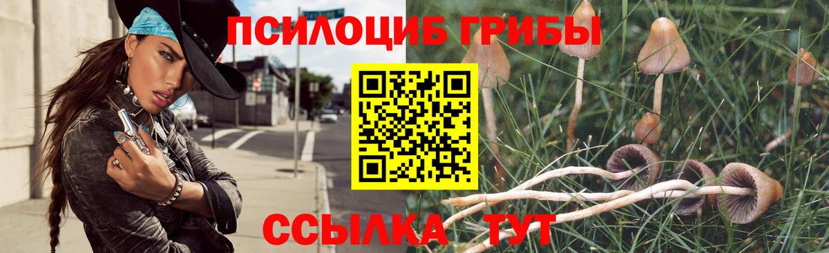 Псилоцибиновые грибы Cubensis Корсаков